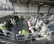 Maschinen- und Industrieanlagen Maschinen- und Industrieanlagen